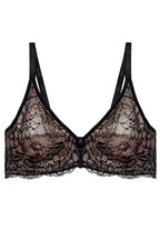  Soft model 230213 Triumph 